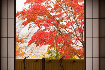 Hoshino Resorts Kai Nikko Dış mekan fotoğraf